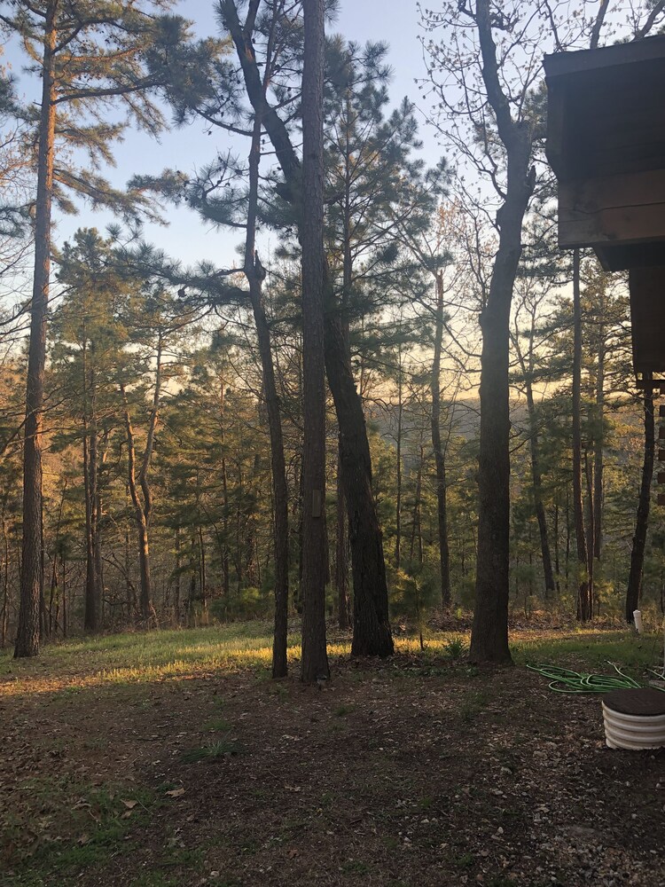  Branson MO Log Cabin Private Porch Quiet Mtn. Forest View Above Lake, Handicap 