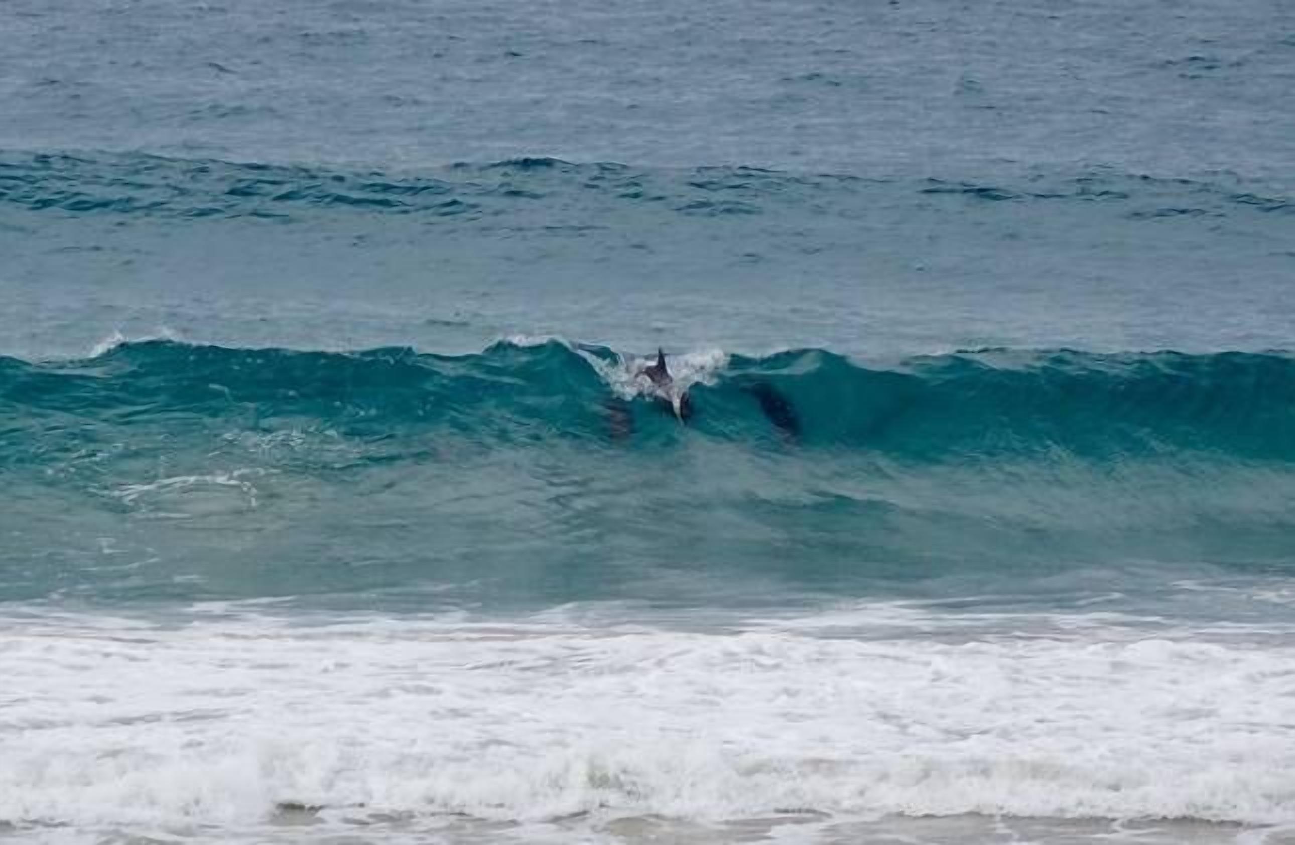 The Purple Place Beach House