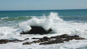 Plage à proximité
