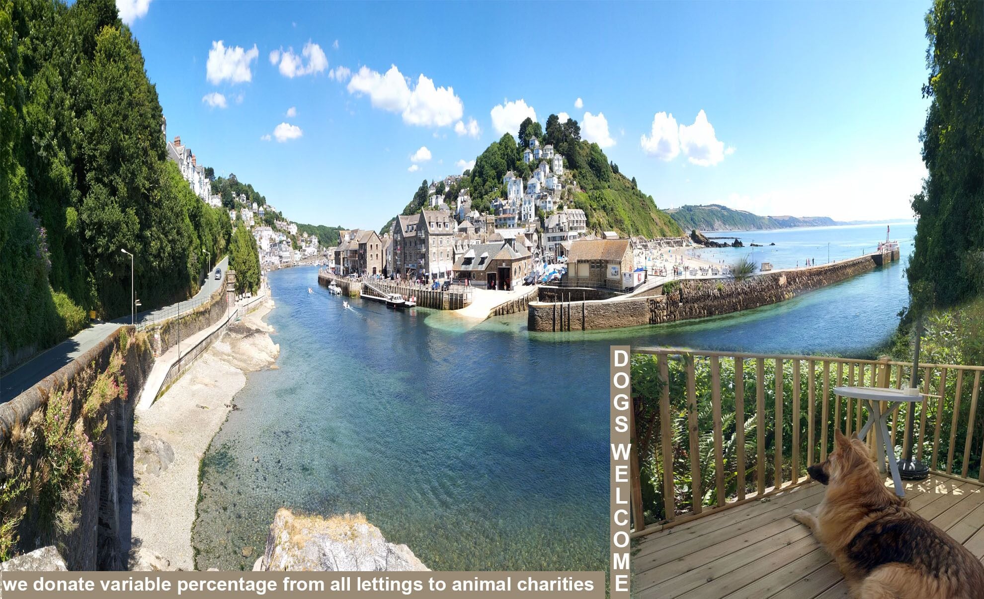 dog friendly cottages with enclosed garden