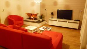 TV, fireplace, books, stereo