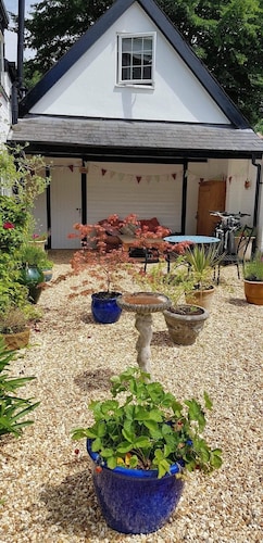 Best New Forest National Park Cottages For 2020 Find Cheap 70