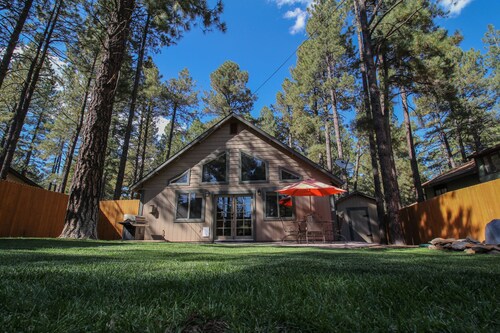 Best Cabins in Flagstaff for 2019: Find Cheap $44 Cabins ...