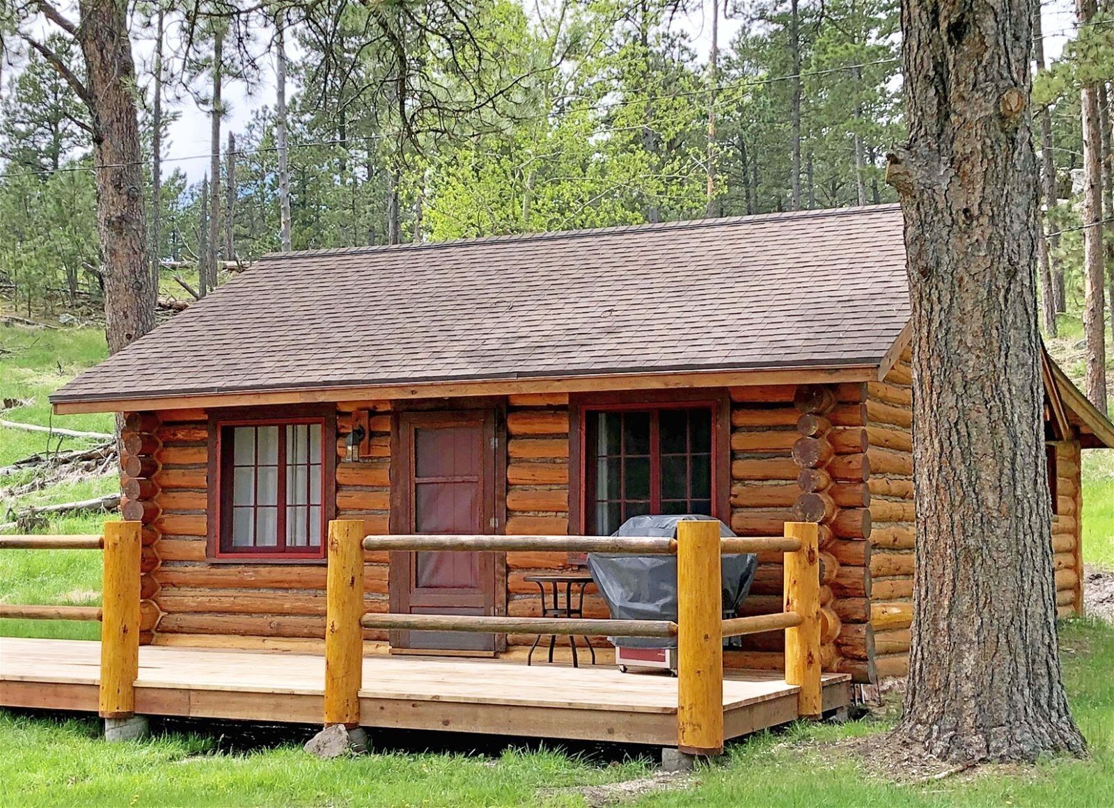 Updated Vintage 1930s Log Cabin at Custer Park Entrance & Stockade Lake in Custer, United States