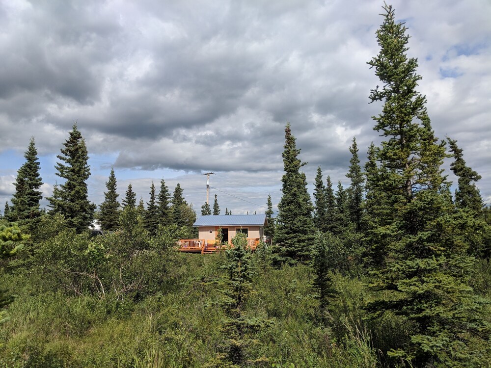 Newly Renovated Private Cabin With Mountain Views In Denali