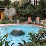 El Mono Loco Hotel in Tamarindo, Costa Rica