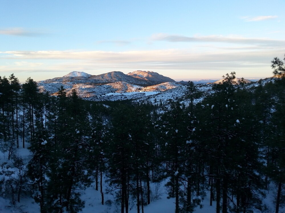 Breathtaking Treetop 5600 Square Foot Mountainside Lodge