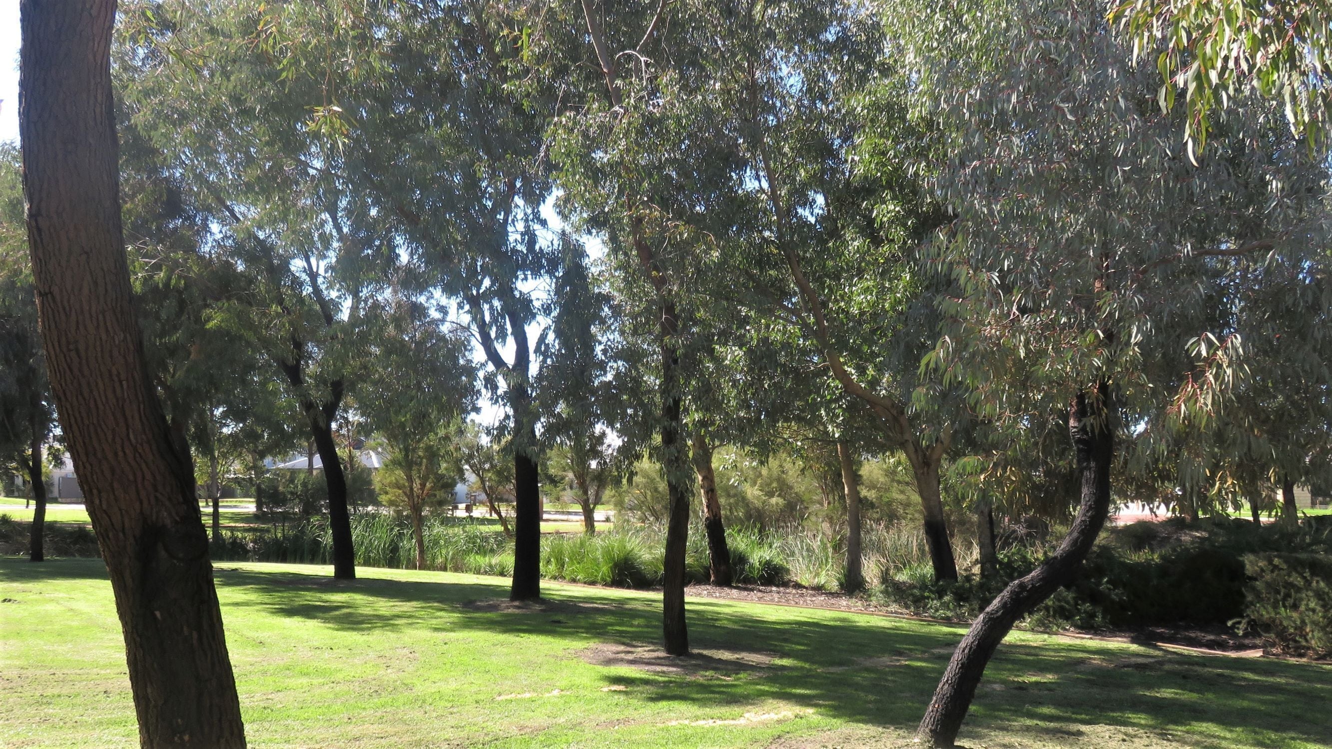 Southern River Bed & Breakfast. An Experience, not just a place to stay