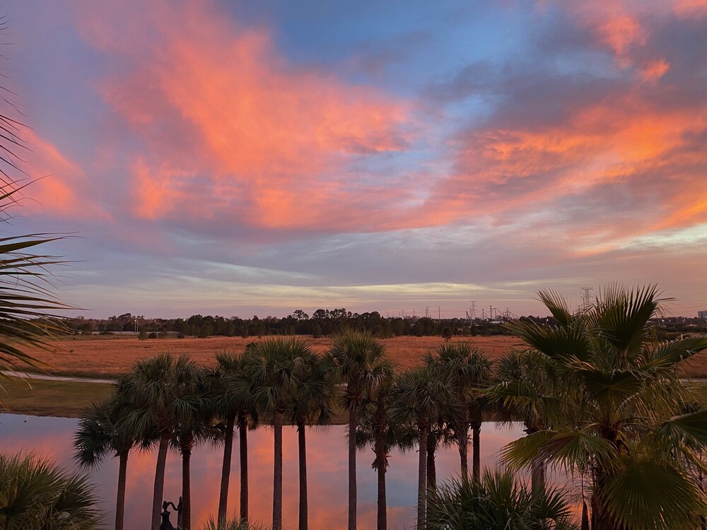 A real gem! Renovated Lake View Treasure by Pool. Near parks and conferences