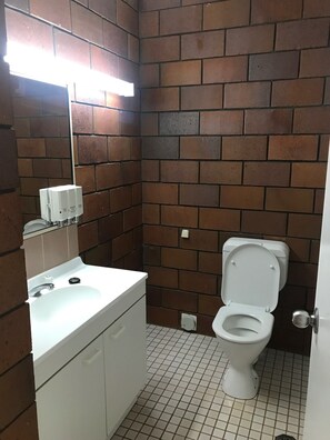 Combined shower/tub, deep soaking tub, free toiletries, hair dryer