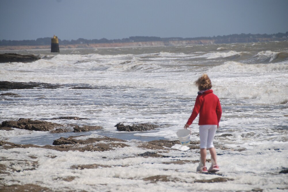 South Brittany Morbihan Villa Seaside Direct Beach 9 People