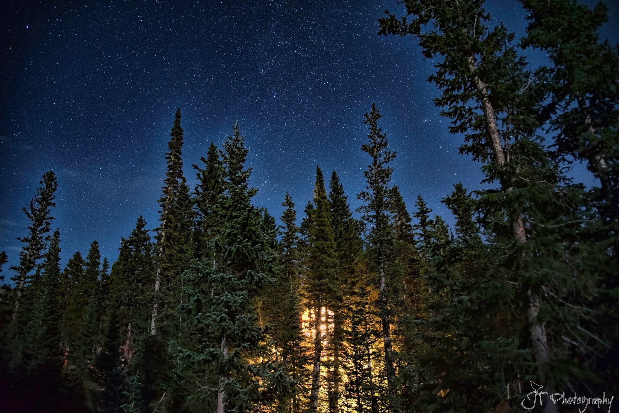 Stream-side Mountain Cabin at St. Mary's Glacier! 5 Acre Wildlife Sanctuary in Georgetown, United States