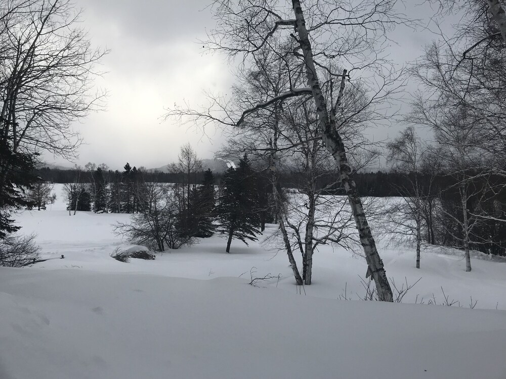 Four Season Pet Friendly Ski Cottage 7 Miles From Sugarloaf