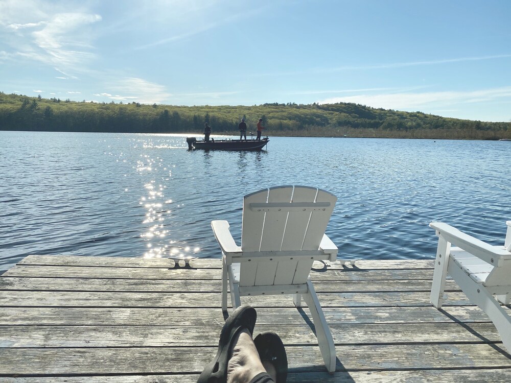 Quaint Dunbarton Waterfront Cottage in Dunbarton Best Rates & Deals