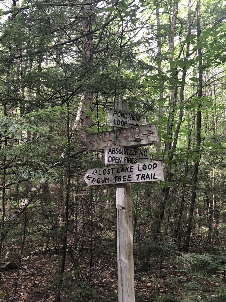 Quaint Dunbarton Waterfront Cottage in Dunbarton Best Rates & Deals