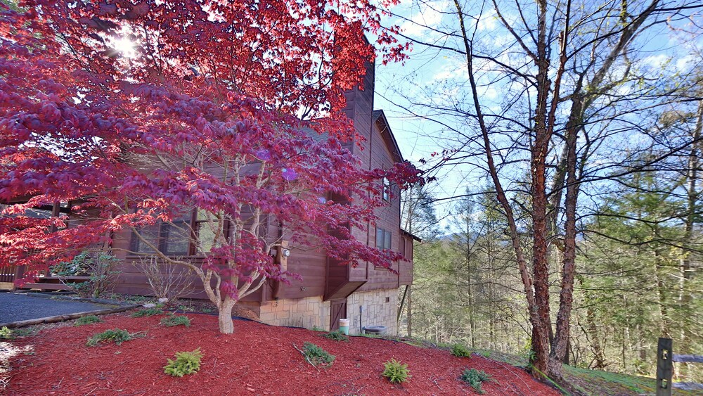 Morning Mist 246 Two Bedroom Cabin In Gatlinburg Pigeon Forge Hotel Rates Reviews On Orbitz