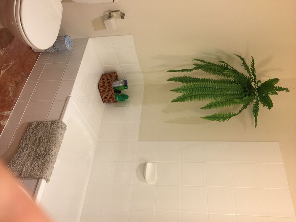 Big 3 Bedroom Apartment Carpark Melbourne Cbd Melbourne