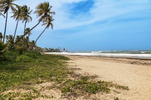On the beach, white sand, free beach shuttle, sun loungers