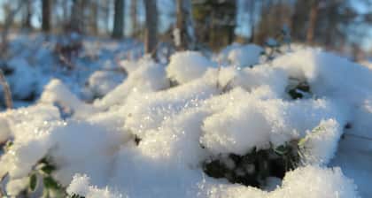Lapland Getaway