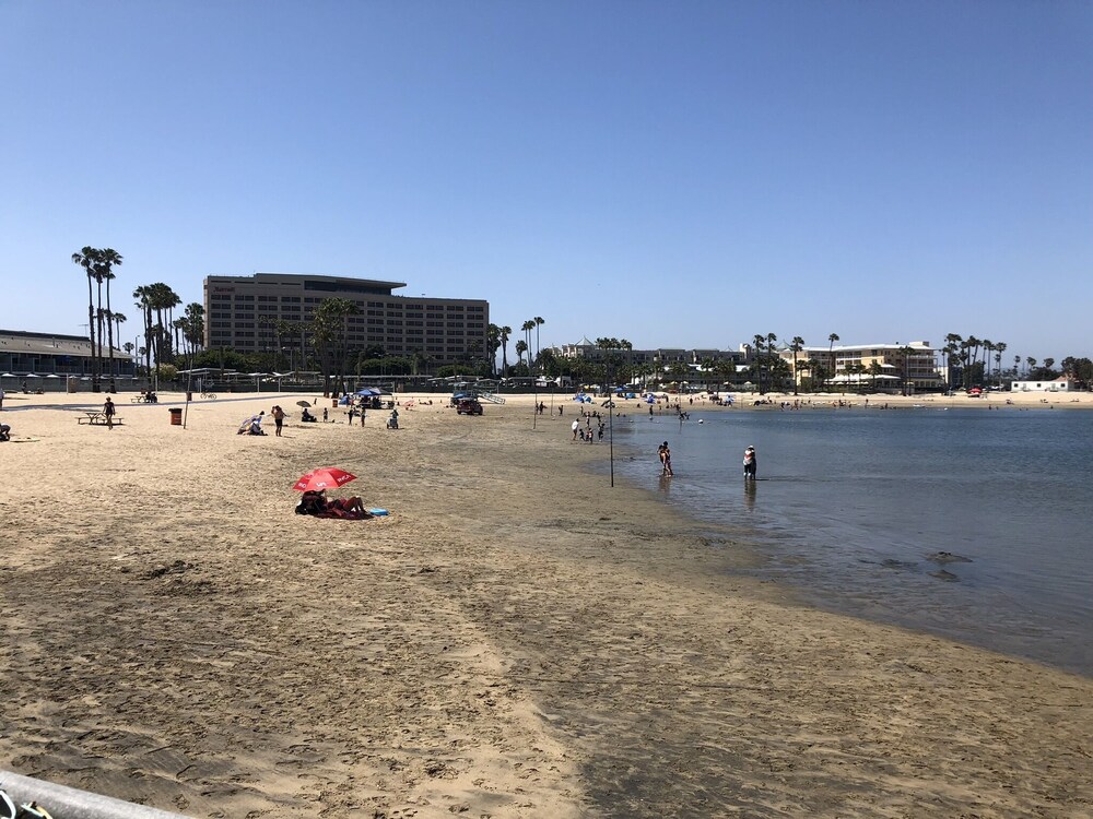 Breathtaking Beach Apartment in Marina Del Rey/ Venice beach