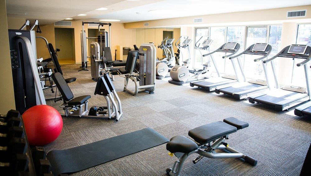 Breathtaking Beach Apartment in Marina Del Rey/ Venice beach