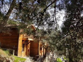 Burfas Narli Sosyal Tesisleri Kafe Di Bursa