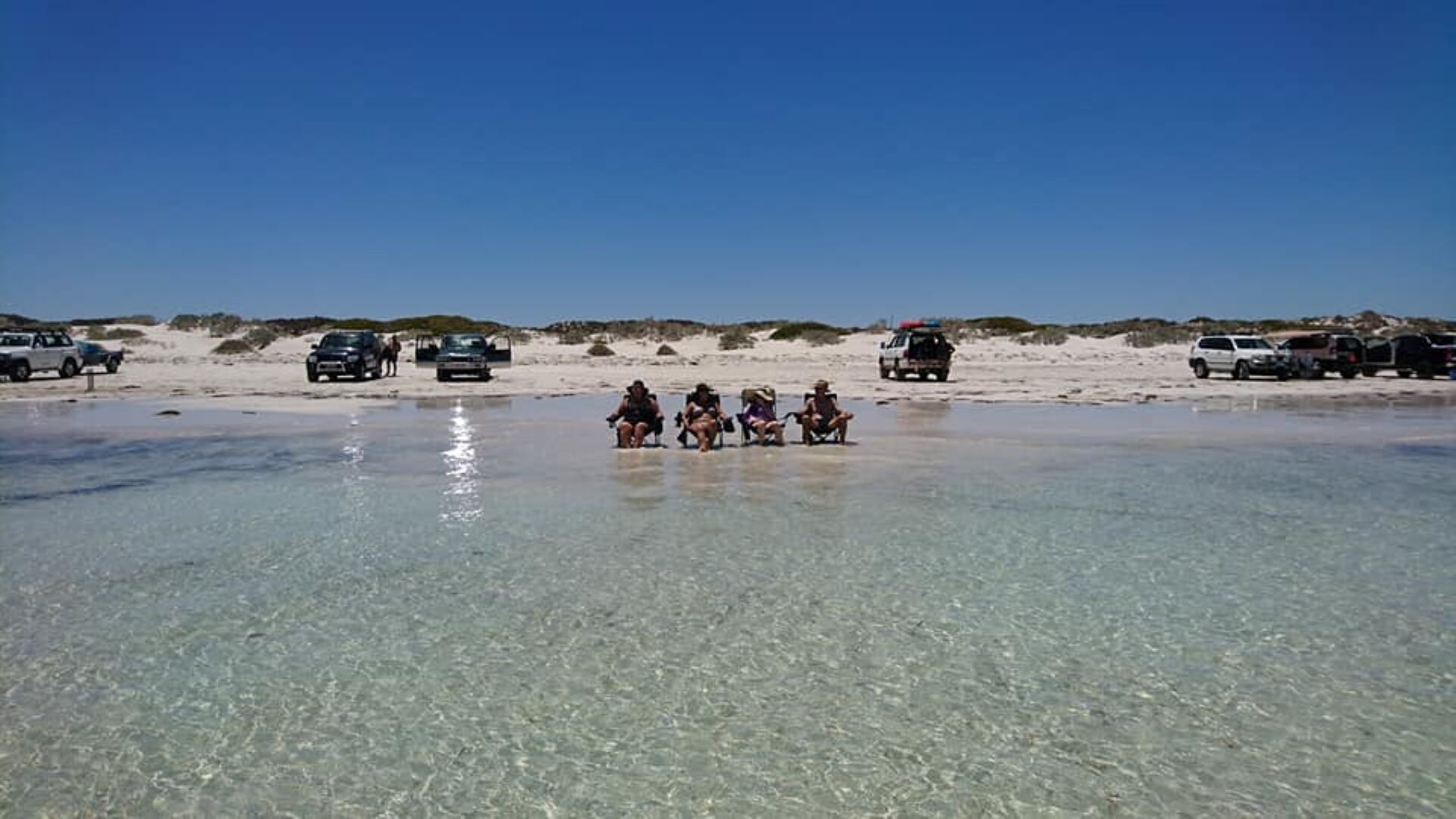 beach house pet friendly