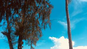 Outdoor pool, open 7 AM to 11 PM, pool loungers
