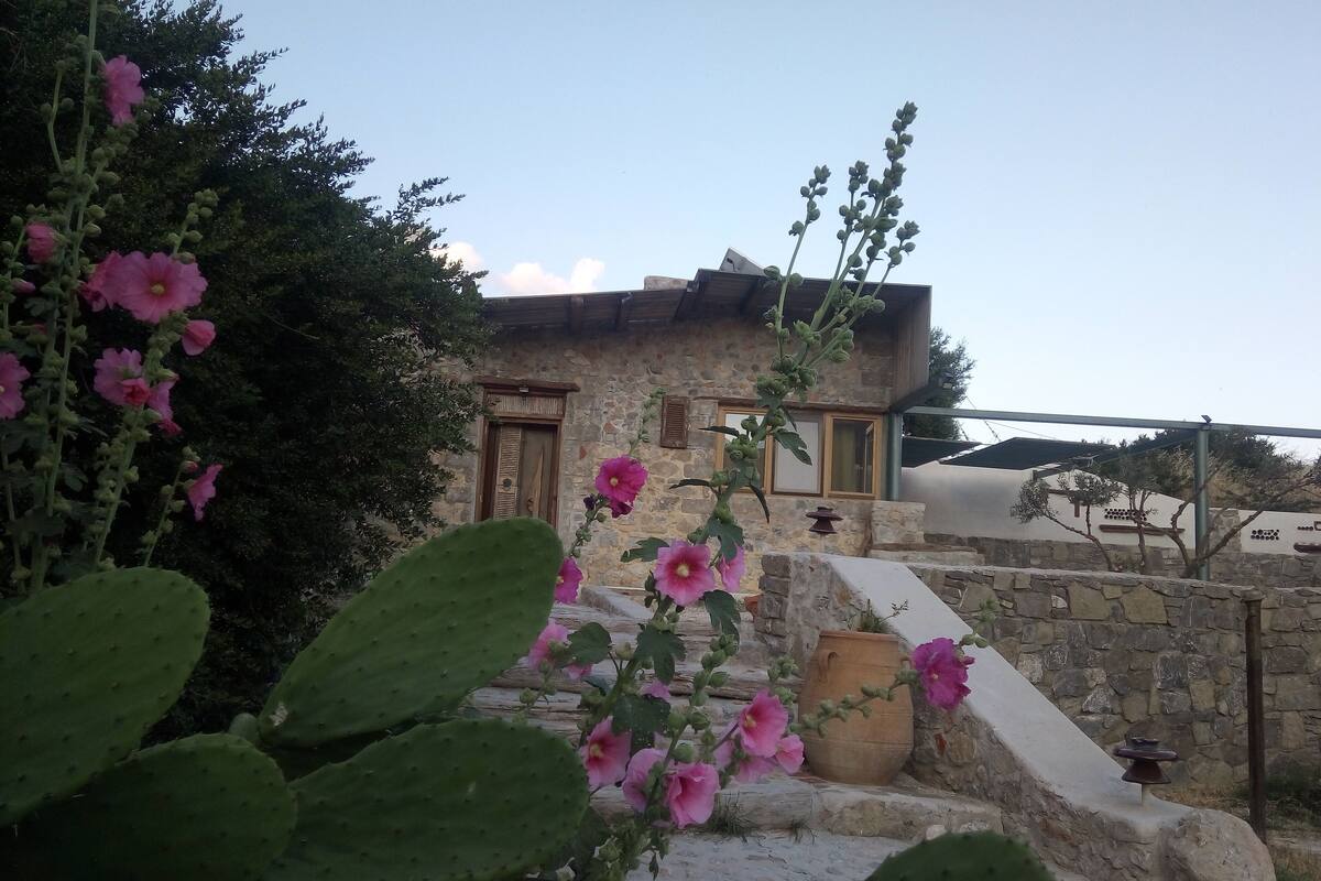 Traditional Dream Recidence Cretan Holiday Home In The Mountain Village Of Agios Ioannis 口コミ 部屋写真 料金 お得情報 エクスペディア