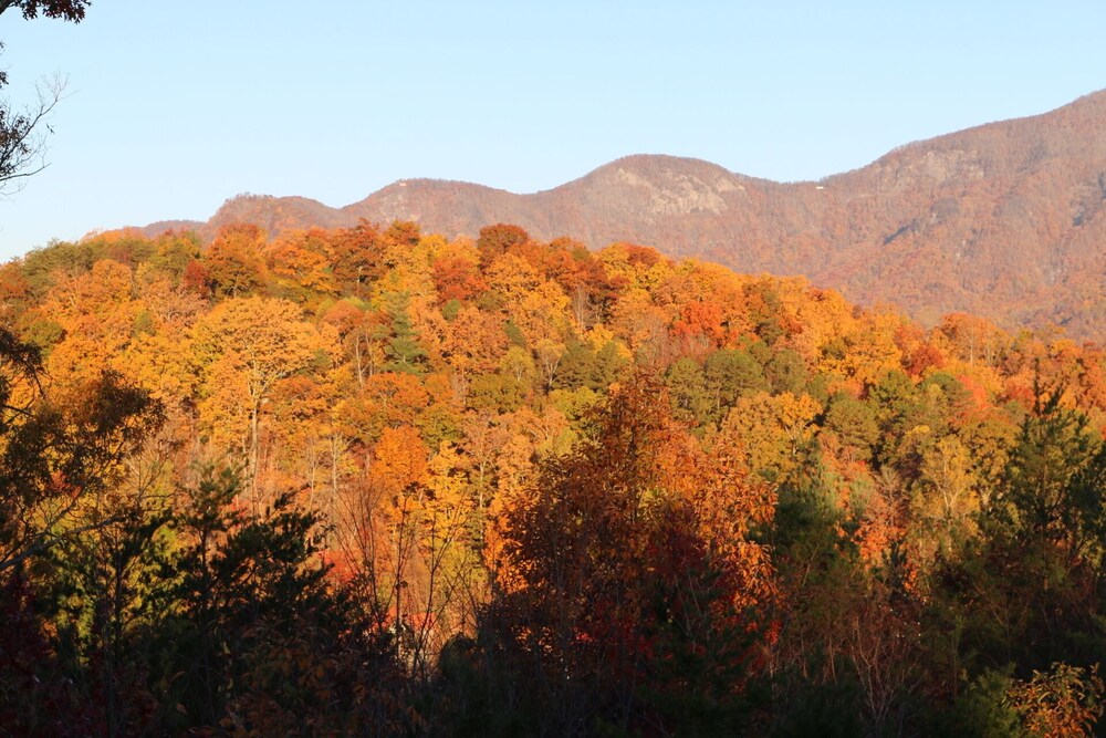 Spruill's Mountain-View Hideaway