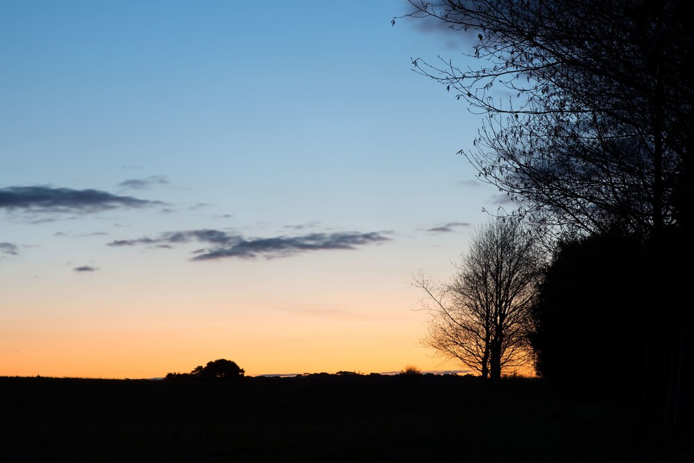 Musk Farm Studio