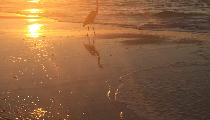 Get Ein zimmer eigentumswohnungen in navarre beach For Android Ein Zimmer Eigentumswohnungen In Navarre Beach