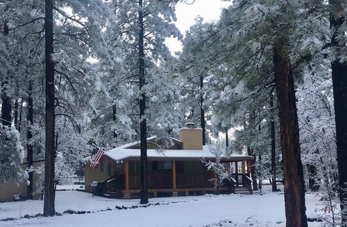Best Cabins In Pinetop For 2020 Find Cheap 55 Cabins Rentals