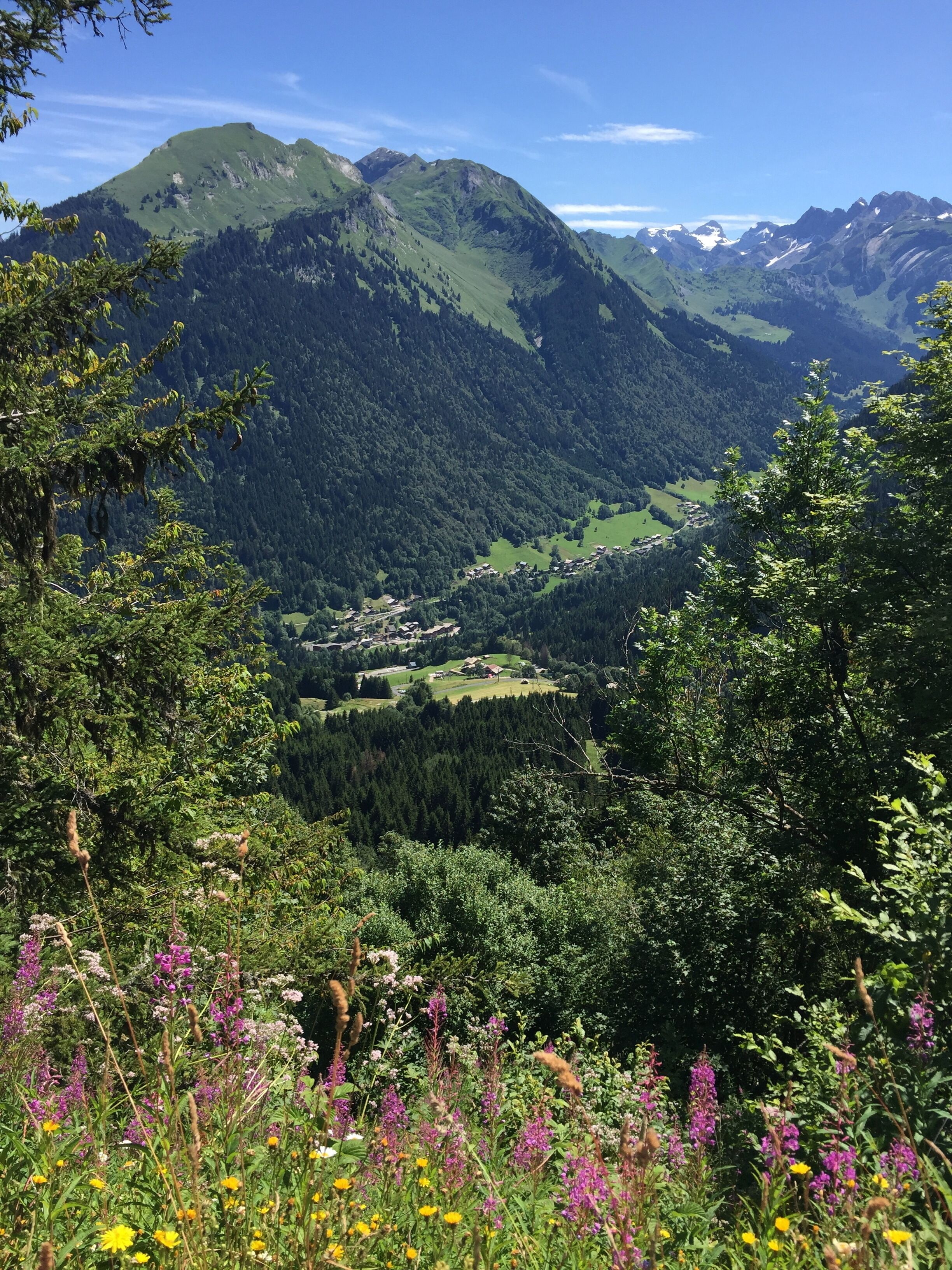 Picturesque 4 bed Savoyard chalet with stunning views 500m from Nyon lifts in Morzine, France