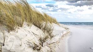 On the beach, sun-loungers, beach umbrellas