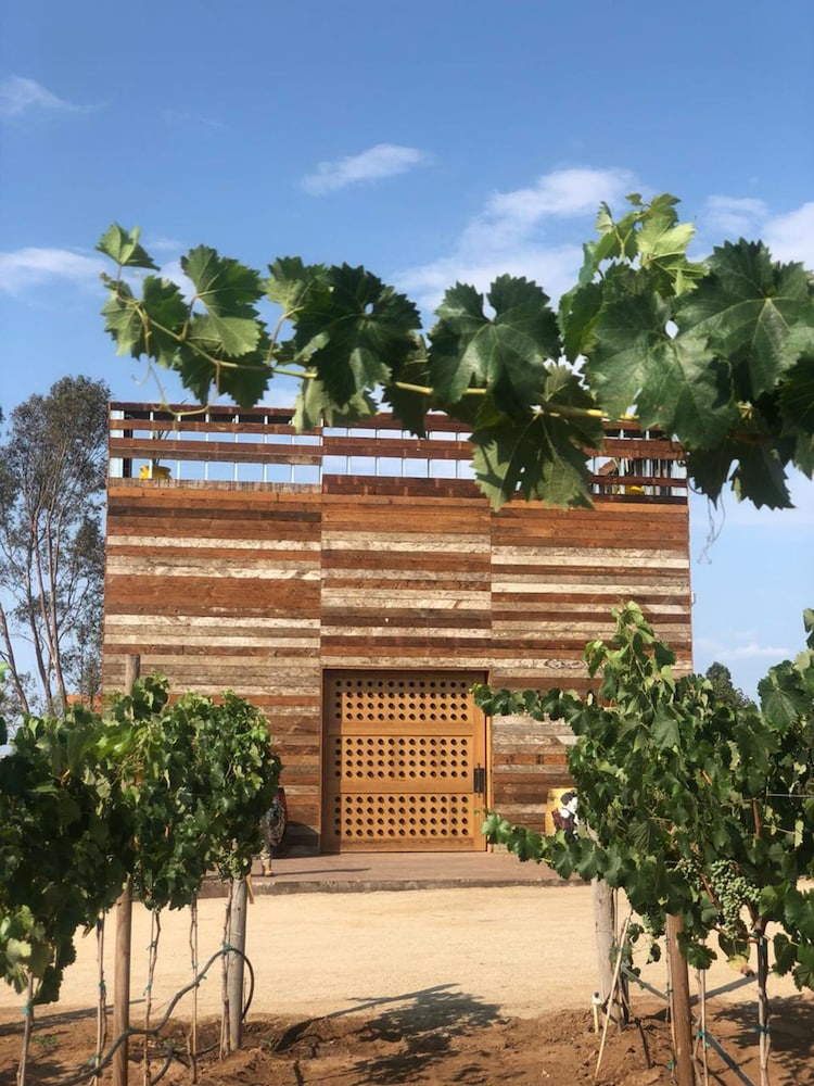 Casa Frida Valle De Guadalupe 2019 Room Prices , Deals