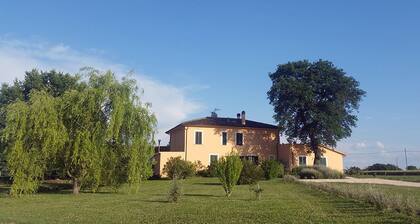 Bed and Breakfast Le Rose
