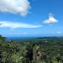 The Lion House Jamaica in Ocho Rios, Jamaica