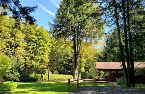 Visit Cherry Springs State Park In Coudersport Expedia