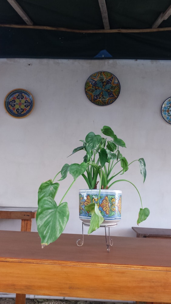 Photo - hotel stella maris tulum