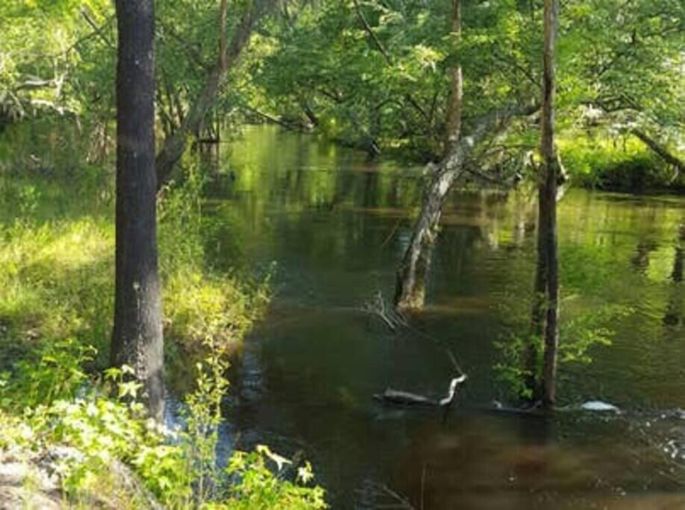 Yurting on the Canoochee River Yurt, Claxton, GA Vacation Rental