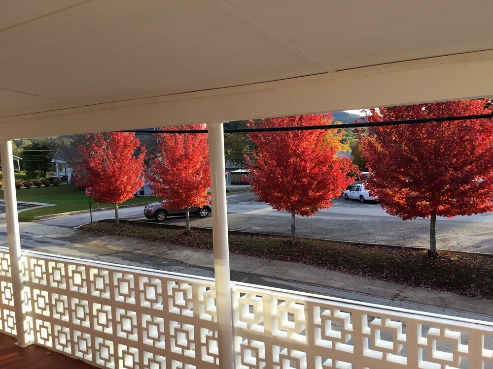 Blue Moon Vacation Rentals Downtown Clayton Deals & Reviews (Clayton