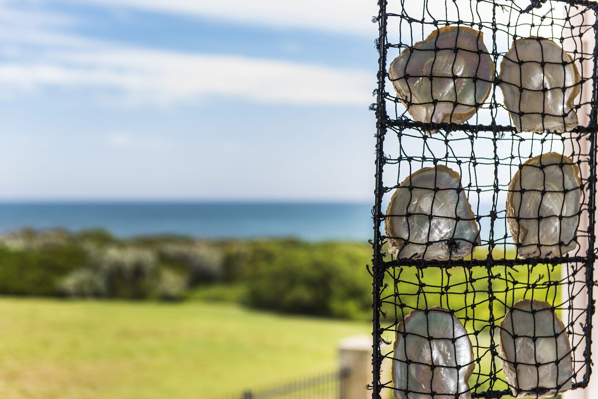 Resort Style Beach Front Accommodation