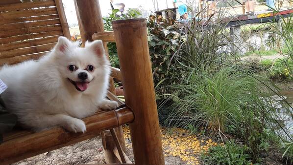 รูปเด่น