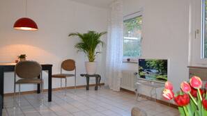 Fernseher