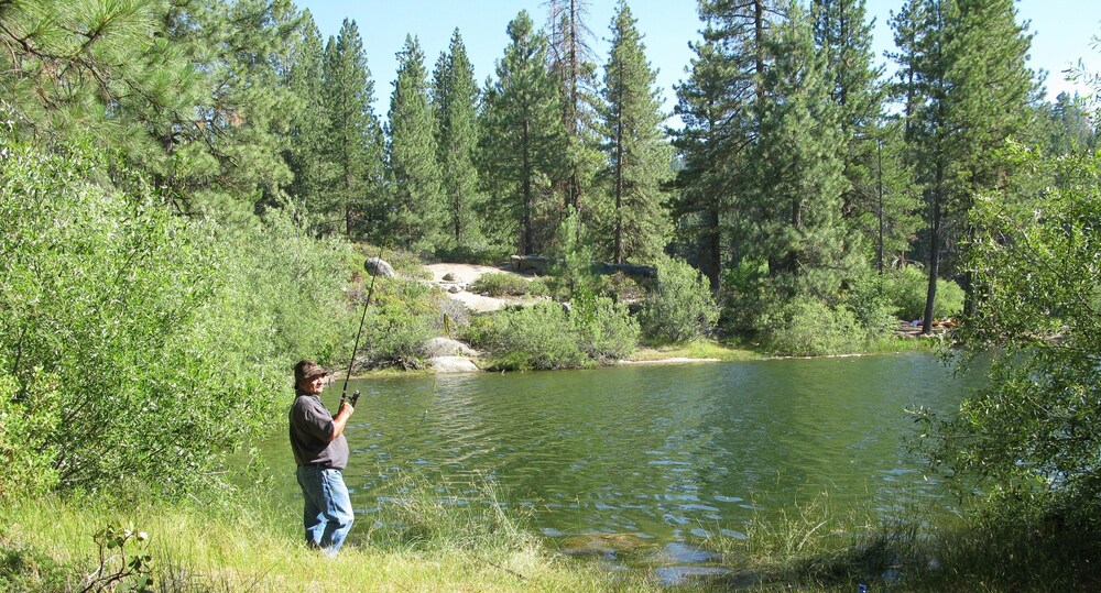 Large Cabin Home 10 Miles to Sequoia Kings Nat'l Park