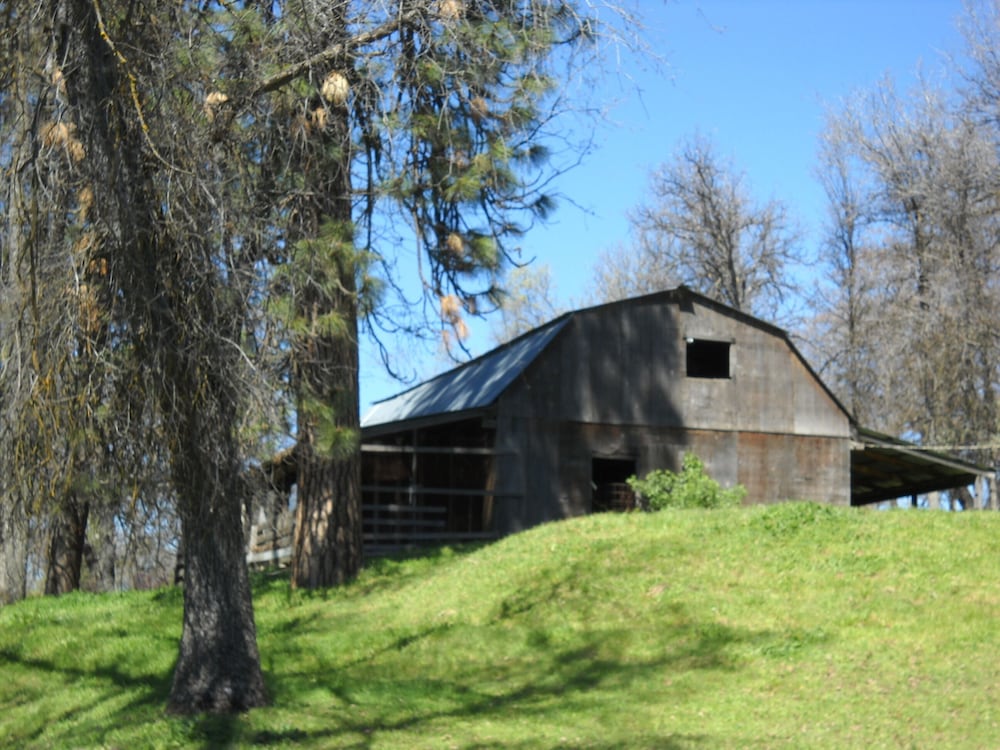 Large Cabin Home 10 Miles to Sequoia Kings Nat'l Park