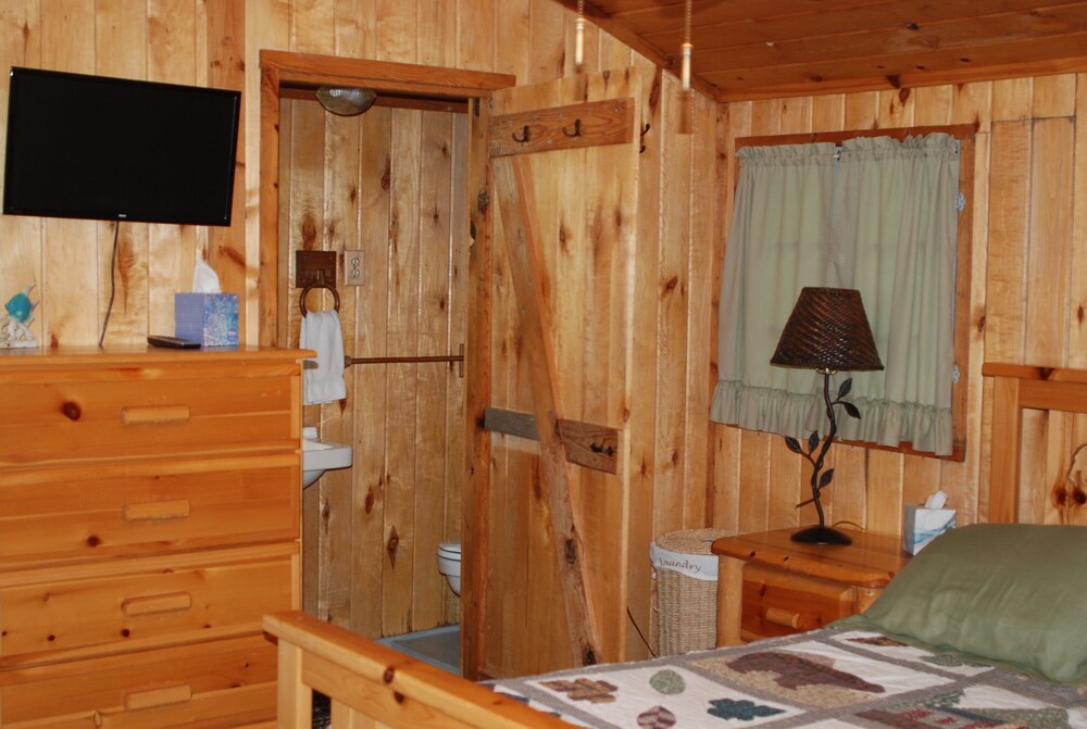 Studio Cabin Hidden in Towering Pines within 10 feet of lake. Pets