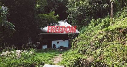 Freedom Jungle