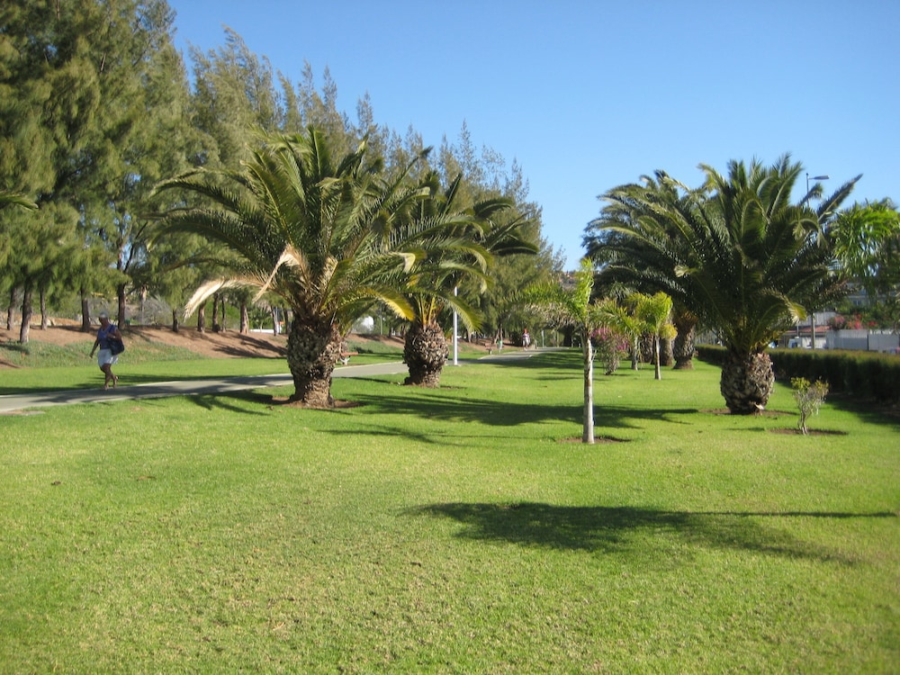 Foto - Apartamentos Tarahal